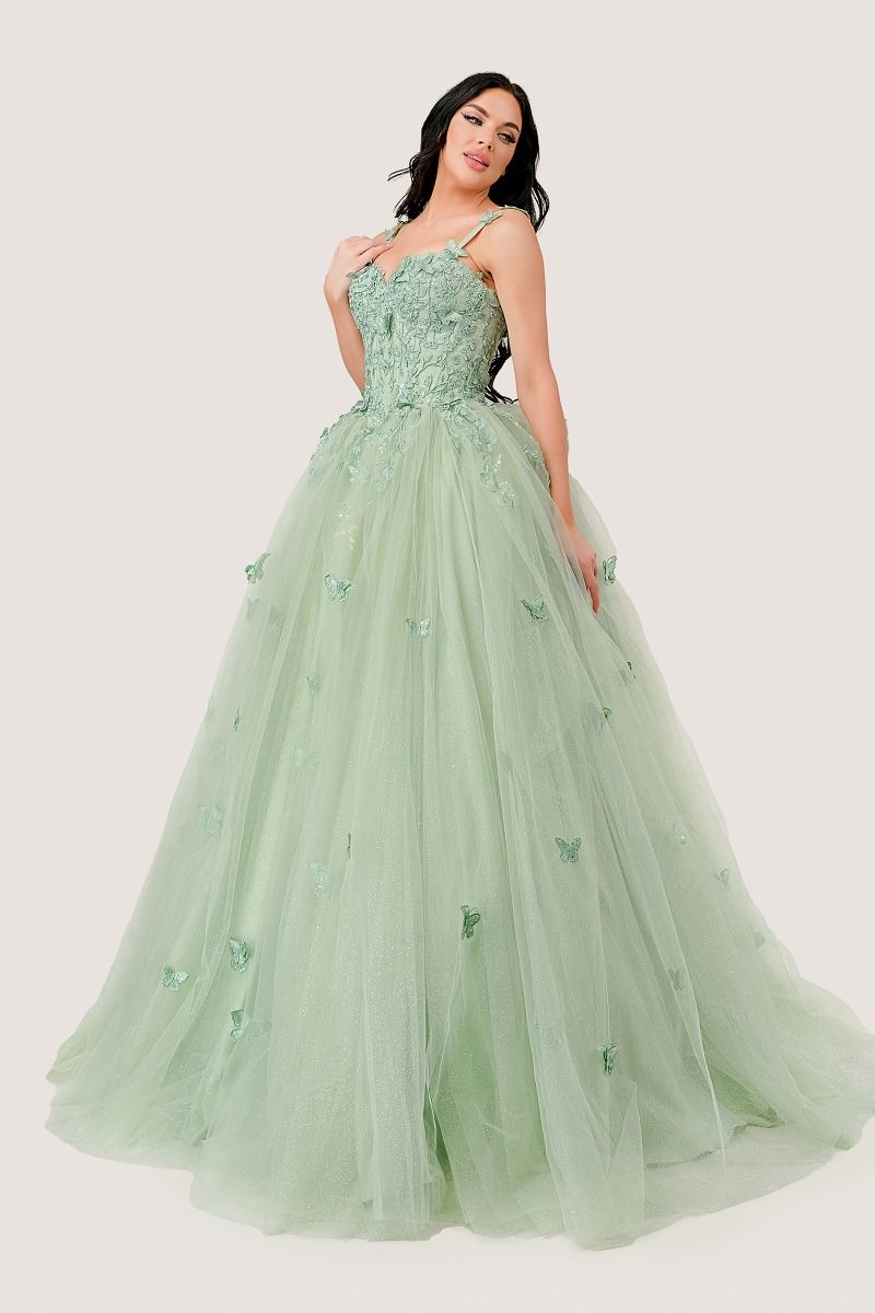Butterfly Tulle Quinceañera Ball Gown with Beaded Bodice
