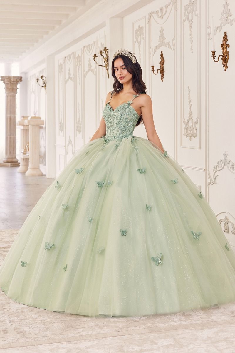 Butterfly Tulle Quinceañera Ball Gown with Beaded Bodice