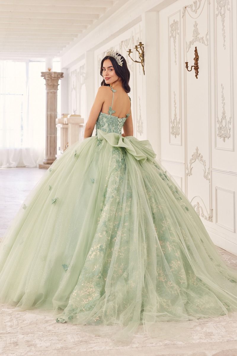 Butterfly Tulle Quinceañera Ball Gown with Beaded Bodice