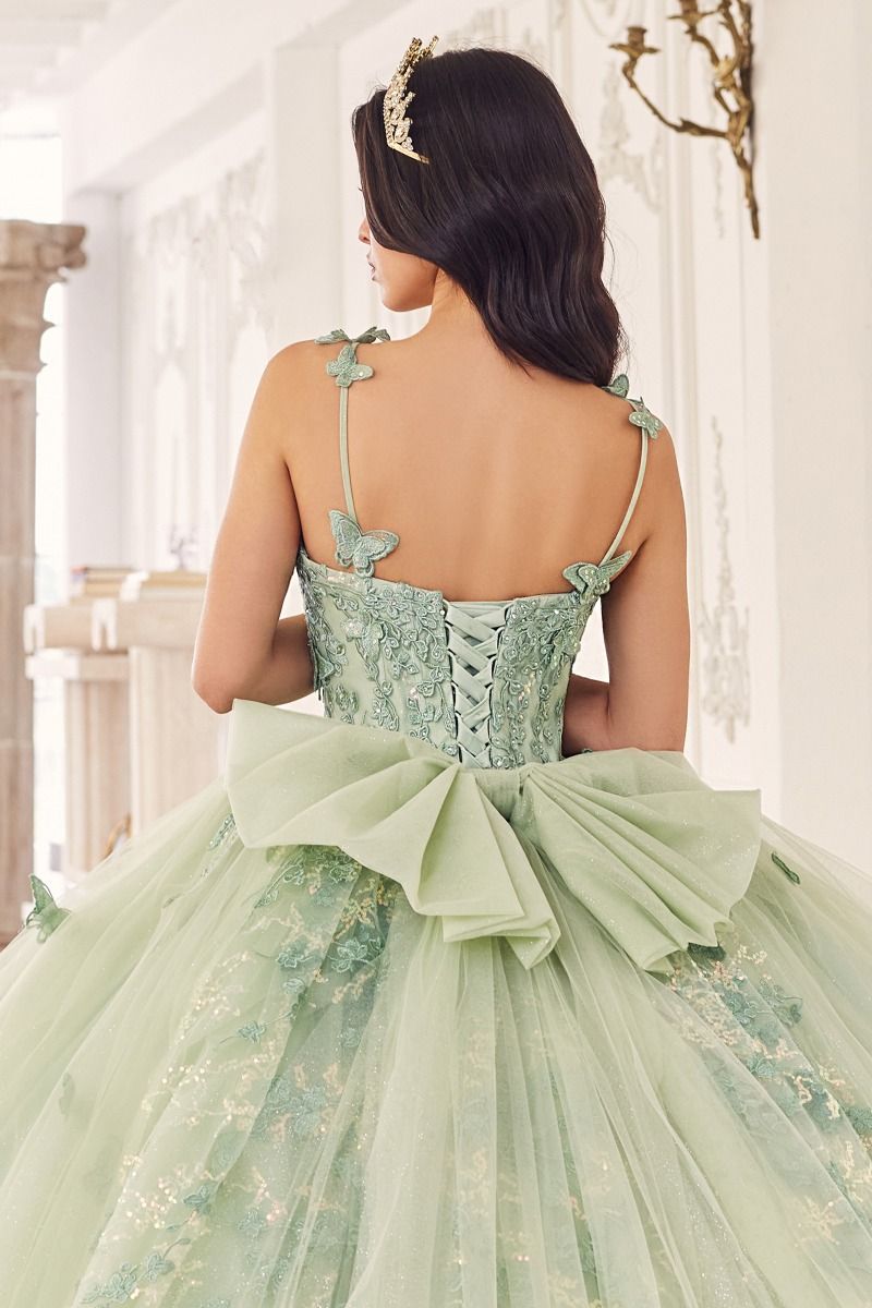 Butterfly Tulle Quinceañera Ball Gown with Beaded Bodice