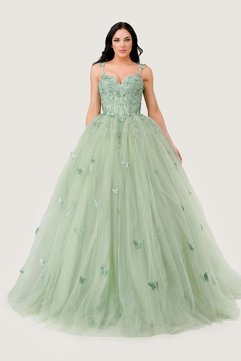 Butterfly Tulle Quinceañera Ball Gown with Beaded Bodice