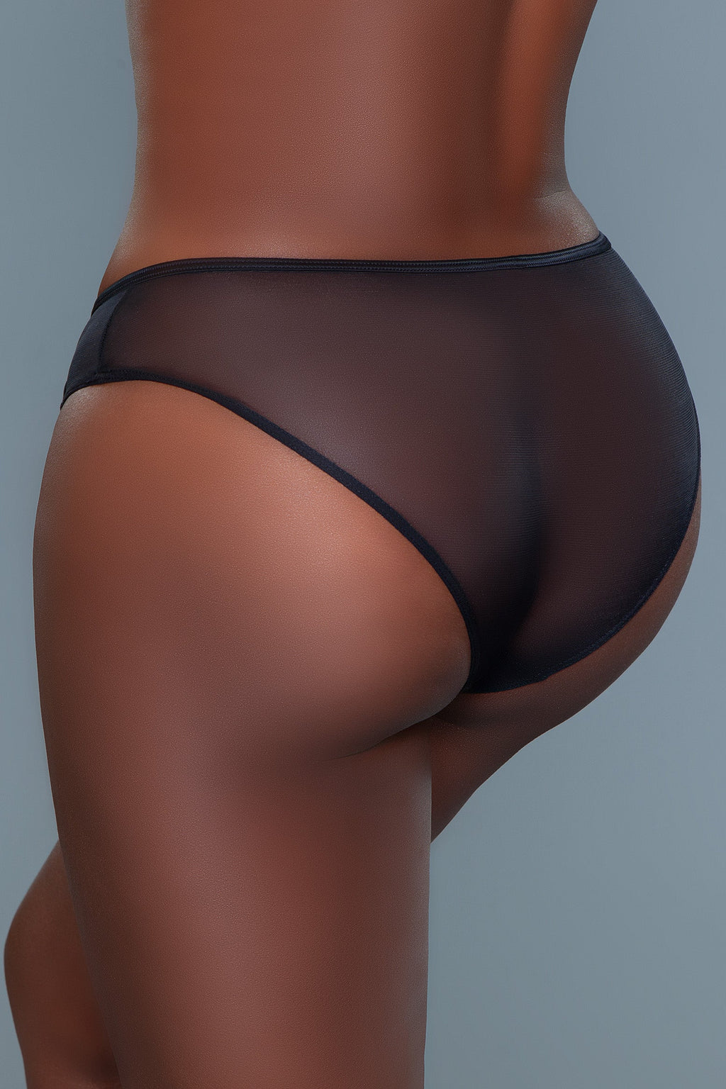 Low-Rise Bikini Cut Mesh Panty