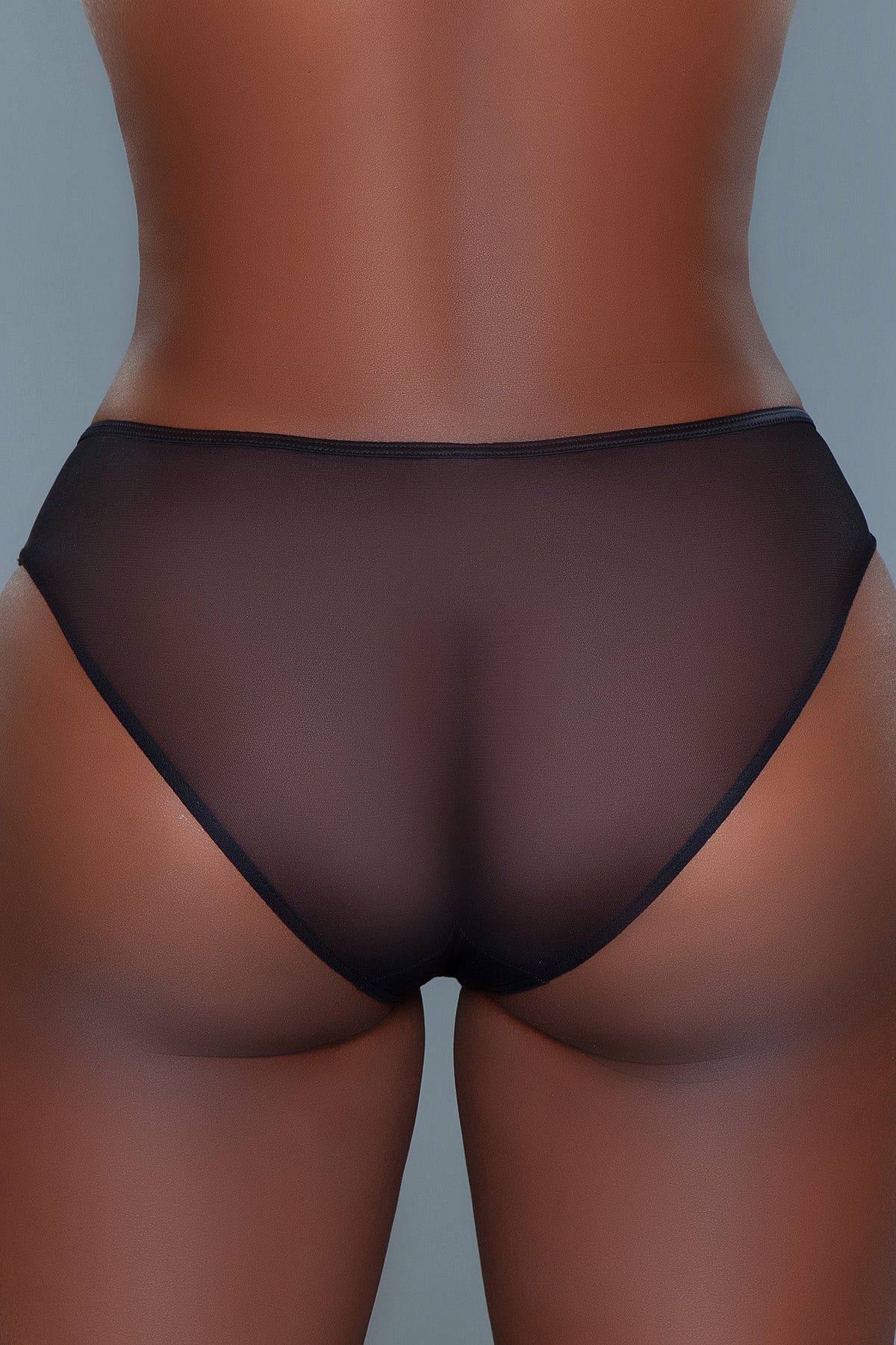 Low-Rise Bikini Cut Mesh Panty