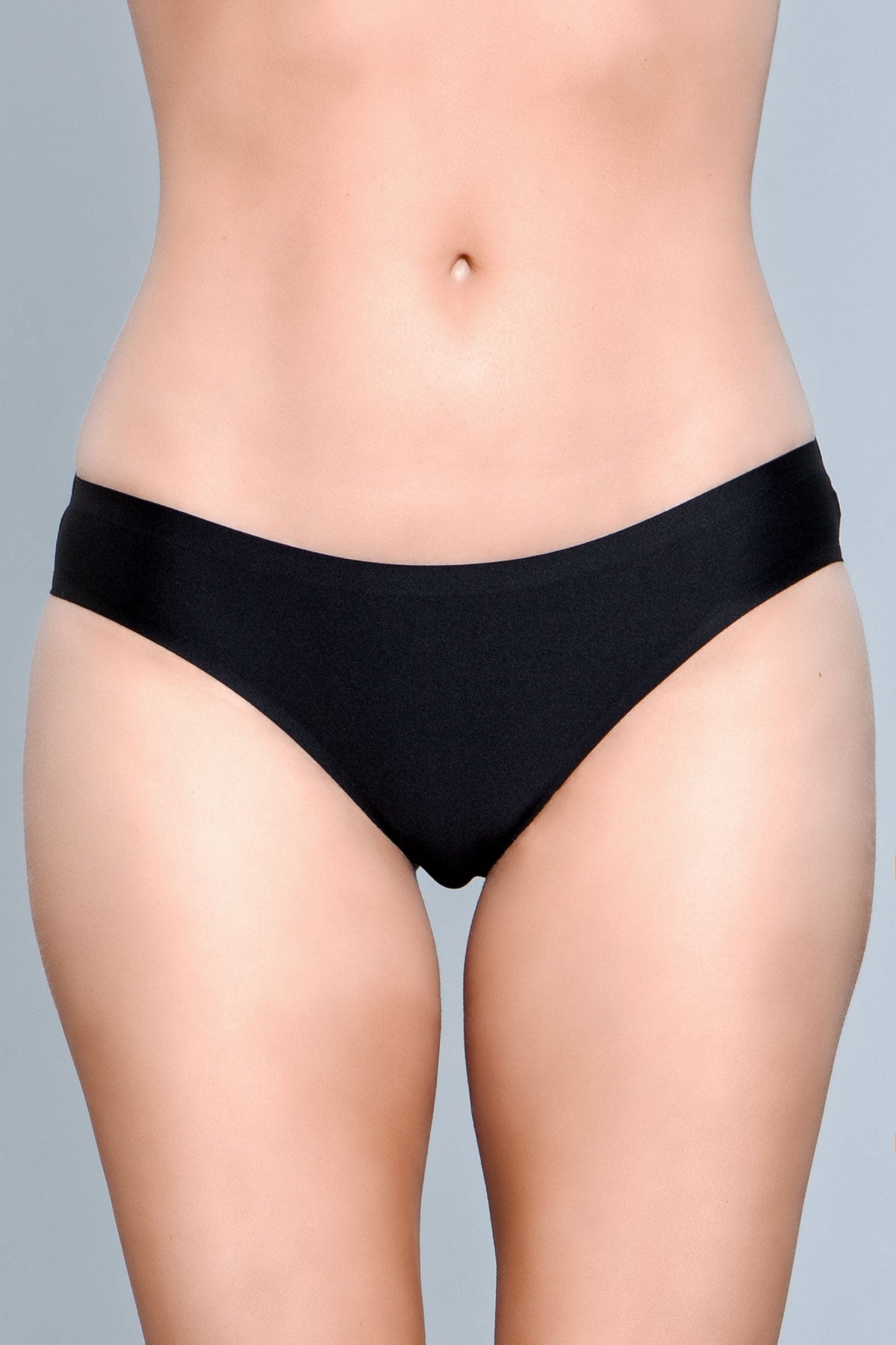 Smooth Seamless Microfabric Bikini  Panty