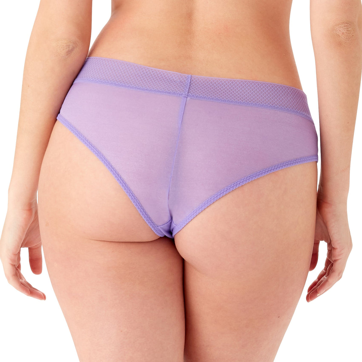 Violet Sheer Mesh Cheeky Short Panty