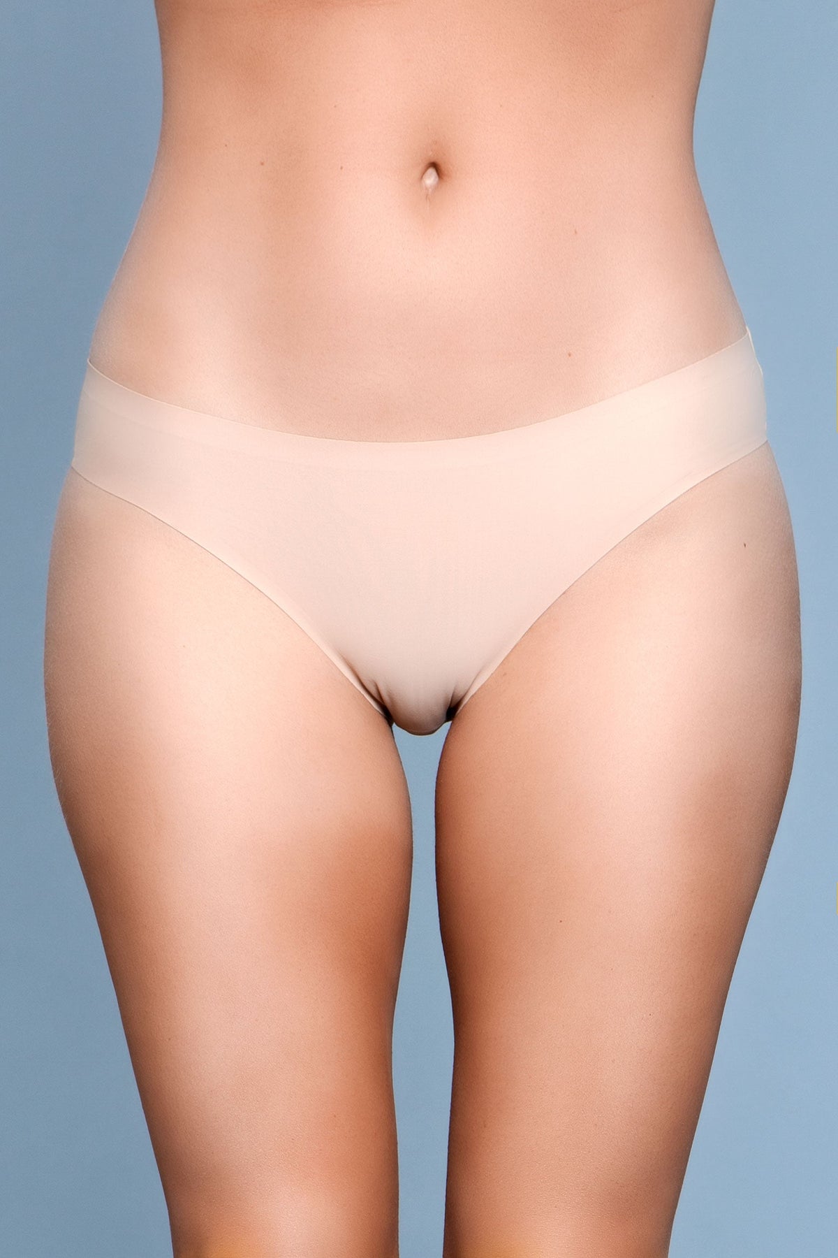Smooth Seamless Microfabric Bikini  Panty