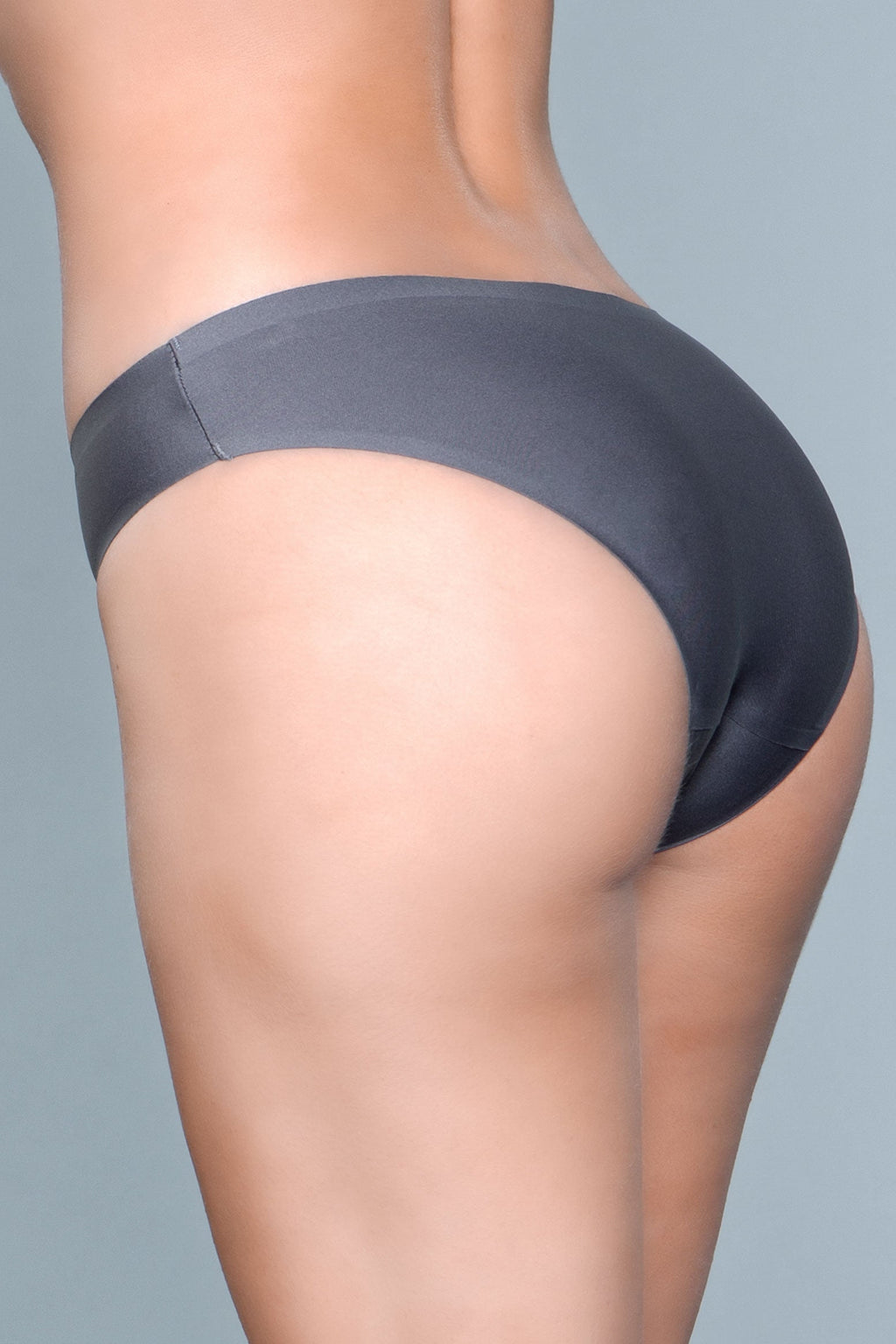 Smooth Seamless Microfabric Bikini  Panty