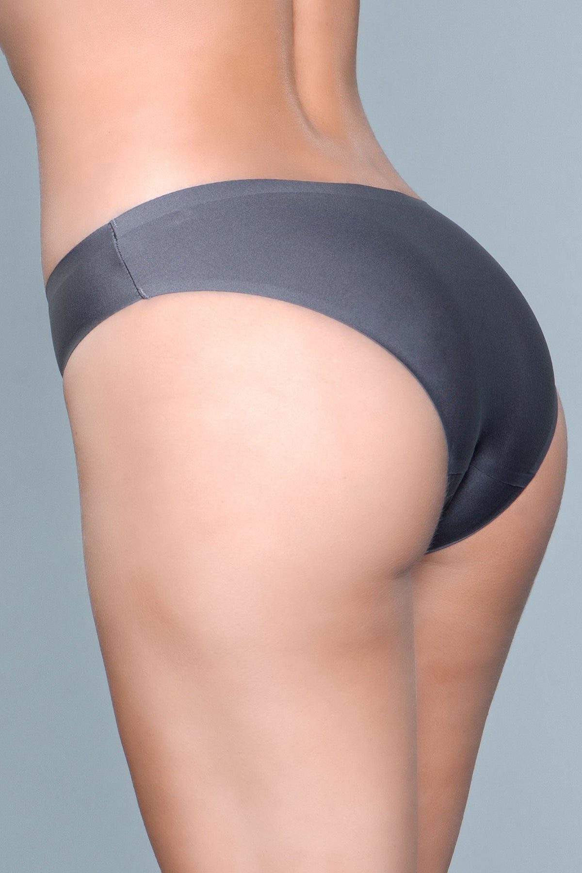 Smooth Seamless Microfabric Bikini  Panty