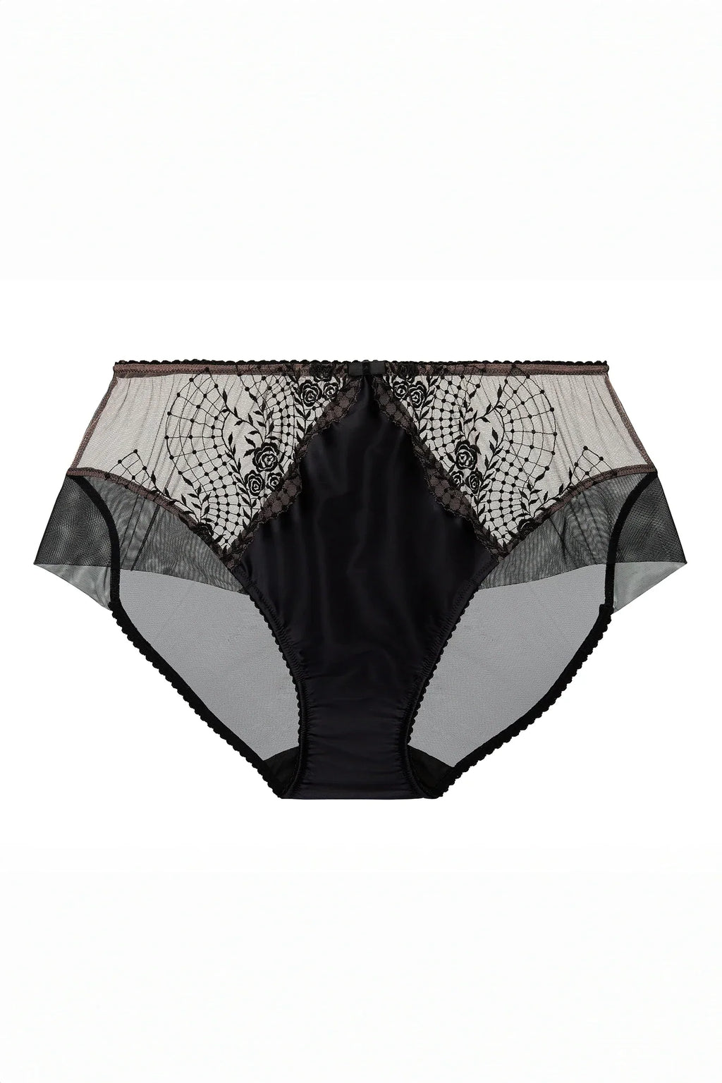 Sheer Embroidered Mesh & Satin Bikini Brief Panty