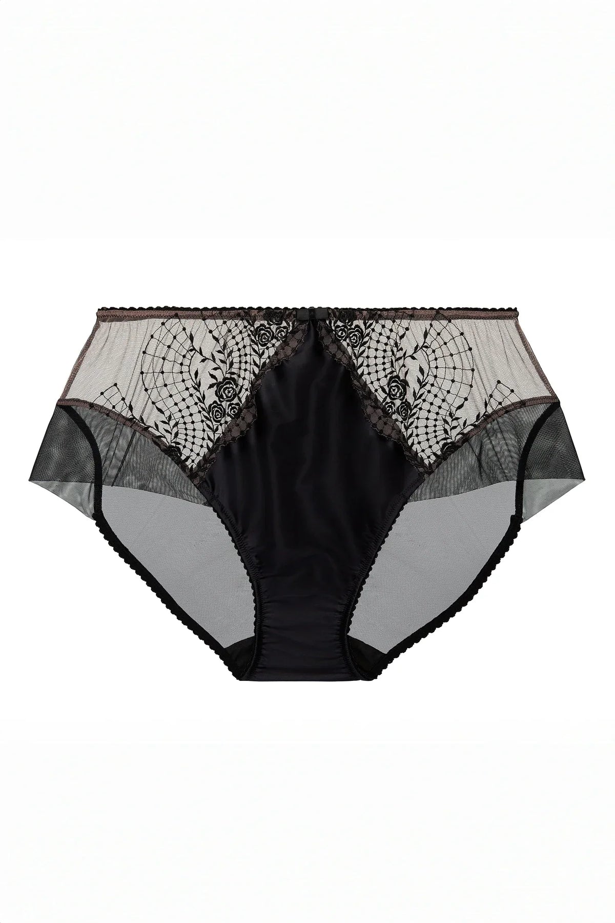 Sheer Embroidered Mesh & Satin Bikini Brief Panty