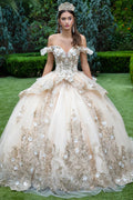3D Flower Metallic Embroidery W/Glitter Ball Gown Dress