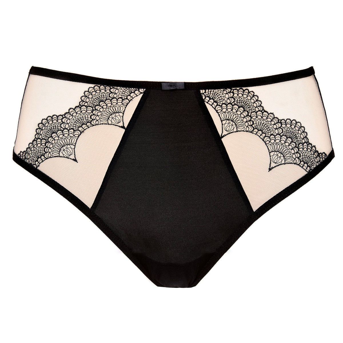 Semi Sheer Embroidered Thong Panty