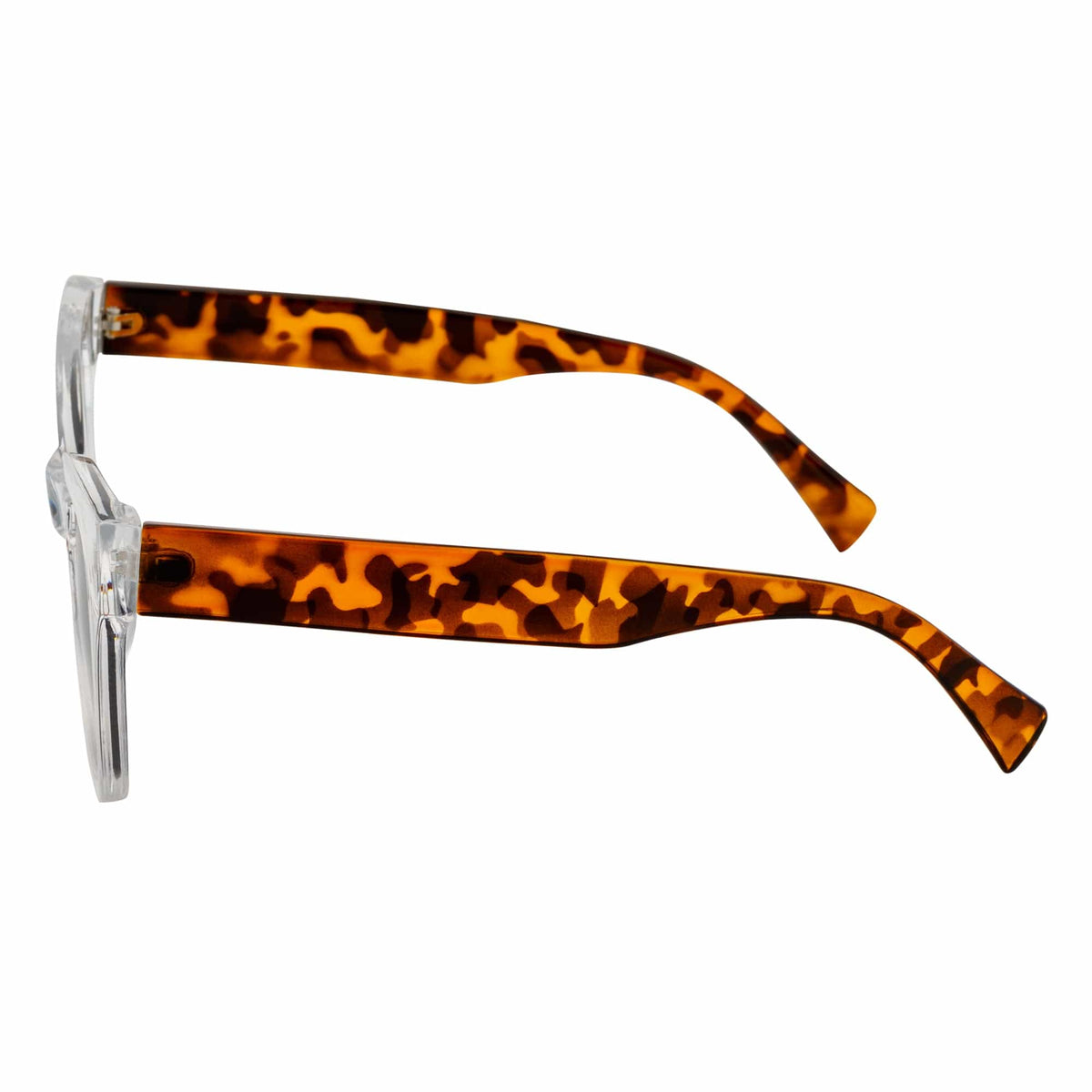 Rounded Oversize Cat Eye Sunglasses Clear Tortoise