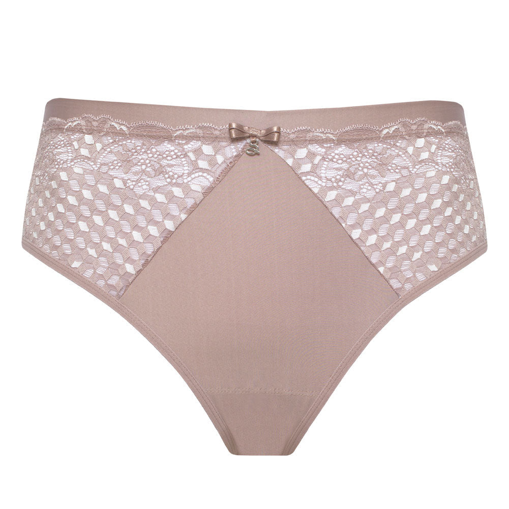 Latte Sheer Mesh Tulle Lace Brief Panty(S only)